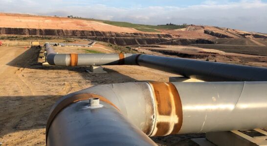 The Hazelwood Project