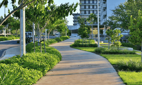 Winners of the 2022 AILA NT Landscape Architecture Award for Urban Design