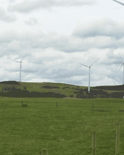 Bald Hills wind farm surveying