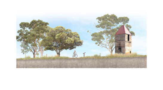 Phillip Island Koala Conservation Reserve Shared Path