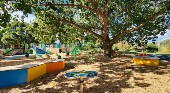 Princes Park Playground