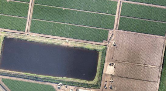 Eliston Estate – Environmental Services