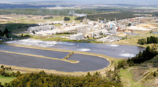 Maryvale Pulp & Paper Mill Buffer